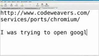 Chrome in Linux (Fedora 9)
