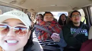 We Are Video 2018