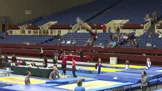Region 3 Trampoline 2