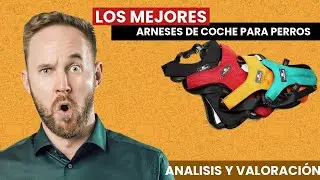 Los MEJORES ARNESES de Coche para PERROS: TOP 3 ⭐⭐⭐