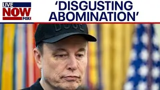 Elon Musk’s criticism of 