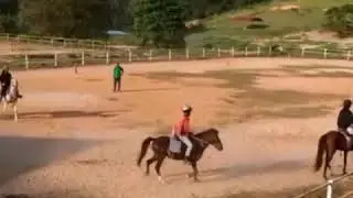 Cape Cavallho - Horse Riding in Tropical Jungle