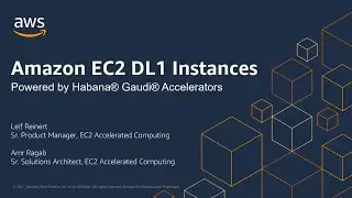 Introducing Amazon EC2 DL1 Instances - AWS Online Tech Talk