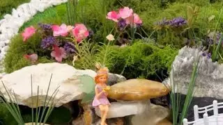Making a Fairy Garden indoor 🧚🧚&zwj;♀️