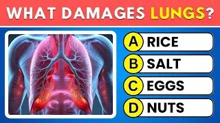 Can You Pass This Human Body Quiz? 🧠 Take This 15-Question Test! 💡