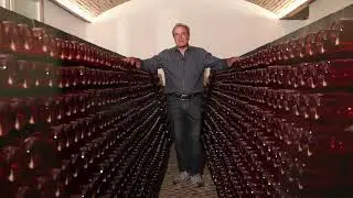 le Vigne Roberto spot 30 B 1