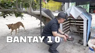 Isang Araw Para Kay Bantay sa Noah's Ark Dog and Cat Shelter (Unedited)