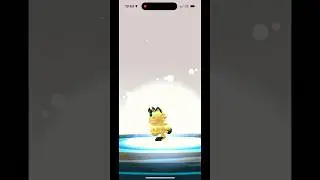 ✨🐾 Shiny MEOWTH evolves into Perrserker! 🐱🪙 #shinylivingdex #shinydex #pokemongo #galarian #galar