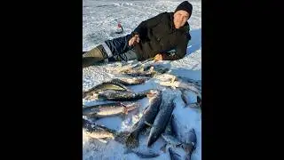 Амангельды. Шортан с БОНУСОМ!