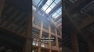 Asia's Largest Wooden Building in Singapore Has a Mold Problem