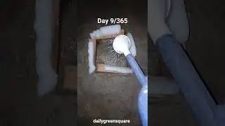 Day 8 Daily challenge 💪💧Every day I pour water into the same marked square 💧 #challenge #experiment