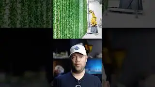Strawberry Factory