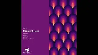 Puck - Midnight Haze (Samie Ur Rehman Remix)