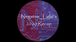 Negative_Light's 2020 Recap