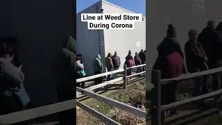 Line at Weed Store During Corona 2019 - Curaleaf - Bellmawr, NJ