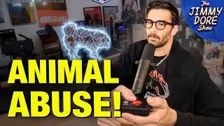 Hasan Piker Accused Of Electric SHOCKING His Dog On Camera!