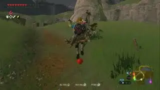 SHIELD JUMP CANCEL - Botw Glitch