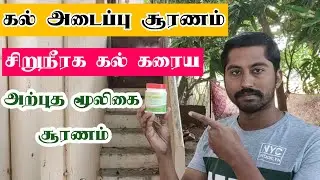 கல் அடைப்பு நீங்க சூரணம் | சிறுநீரக கல்லை கரைக்கும் முறை | Next Day 360