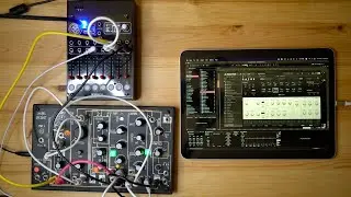 Native Instruments Razor,  Make Noise 0-Coast & befaco VCMC