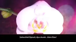 Një nga ngjarjet më romantike që ke dëgjuar! - Suhejla & Faruku