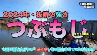 2024年・抜群の強さを発揮！　つぶもじ　浅ダナセット釣り