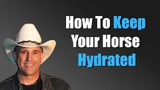 Hydration In Horses, The Importance of Water by Geoff Tucker, DVM.