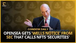 OpenSea Receives SEC 'Wells Notice'; Telegram CEO Durov Indicted on 'Complicity' | CoinDesk Daily