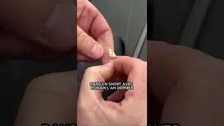 Comment bien piquer vos asticots 🐛 🎣 #tackleguru #maggots #asticots #carpodrome #commercialfishing