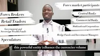 Understanding Forex Market Participants