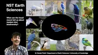 Earth Sciences at Cambridge - Palaeontology