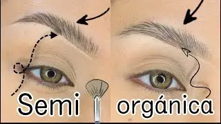 CEJAS ORGANICAS Y SEMI ORGANICAS