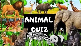 Animal Quiz #wildanimals #kidslearning #learnanimals #farmanimals #kidslearningvideos 