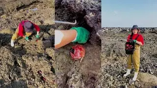 Ловля крабов в прибрежном рыболовном пруду #ловля #рыбалка #краб #охота