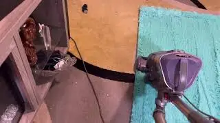Cleaning all my Tellyboo rugs with lavender shark 2x speed || bin dump at the end