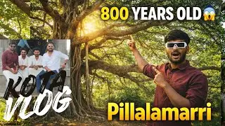 “Pillalamarri 🌳 | 800-Year-Old Banyan Tree in Telangana | Hidden Heritage Vlog”#pillalamarri #tree 