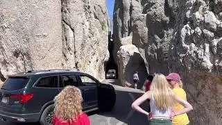 Hold your breath to thread The Needle's Eye Tunnel in Custer State Park!