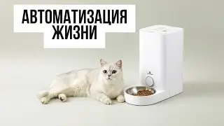 Ваше желание исполнено! Xiaomi Petkit Mini Smart Feeder Metal Edition 2.8 л