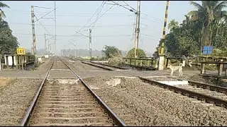 Train speed @trainspeed1370 is live