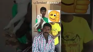 singer sikka official - நமது புரோக்கர் சிக்கந்தர் தனது 2ஆம் ஆண்டு சர்வீஸ் தொழிலை கொண்டாடிய போது 🥳🥳