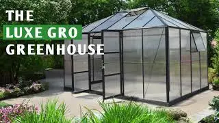 Step Inside Our Stunning Greenhouses