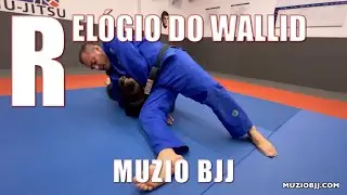 Muzio BJJ - Relógio do Wallid