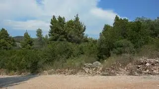 Relaxing Crickets Sound in Mediterranean Forest, Video for Relax, Meditacion, Sleep
