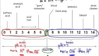 pH Scale and Indicators