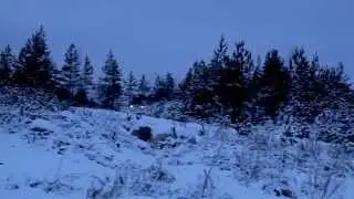 Isokorpi Customs - Jouluspesiaali