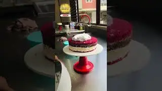 Cakes by hk |Red bee | |cake design |chocolate design |#shorts#today#trenignew