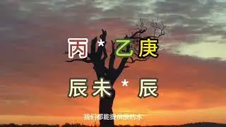 盲派命理基礎『六』自然法則