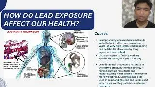 Lead Hazard Risk And Awareness(IHS 123)