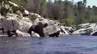Mighty Kern River Diving