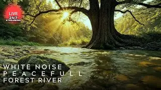 Small Stream in Green Jungle - Relaxing Nature Sounds for Stress Relief | ASMR | LIVE