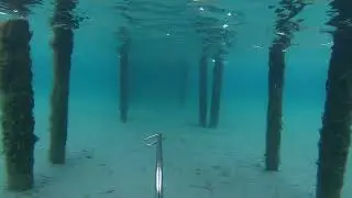 подводная охота чёрное море.